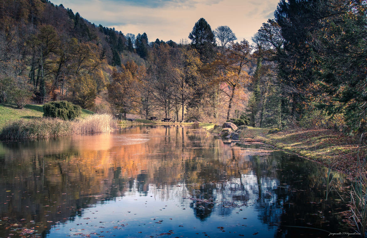 couleurs d'automne