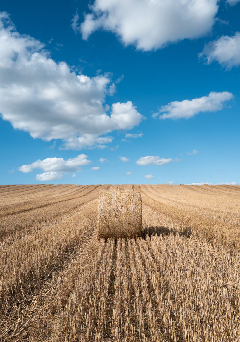 Après la moisson