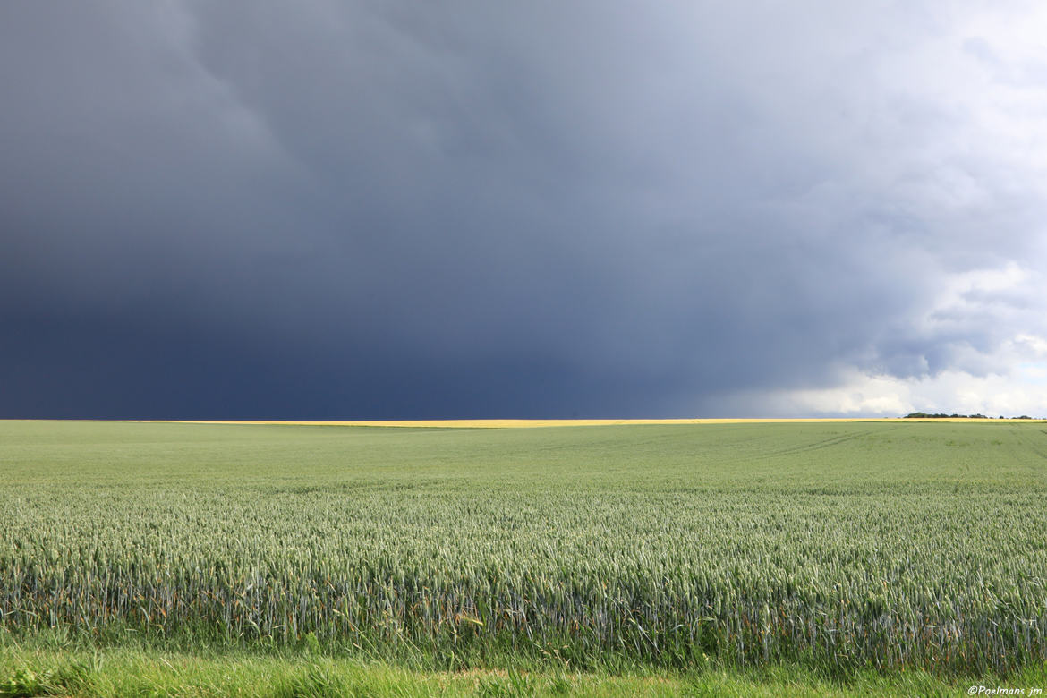 Avant l'orage