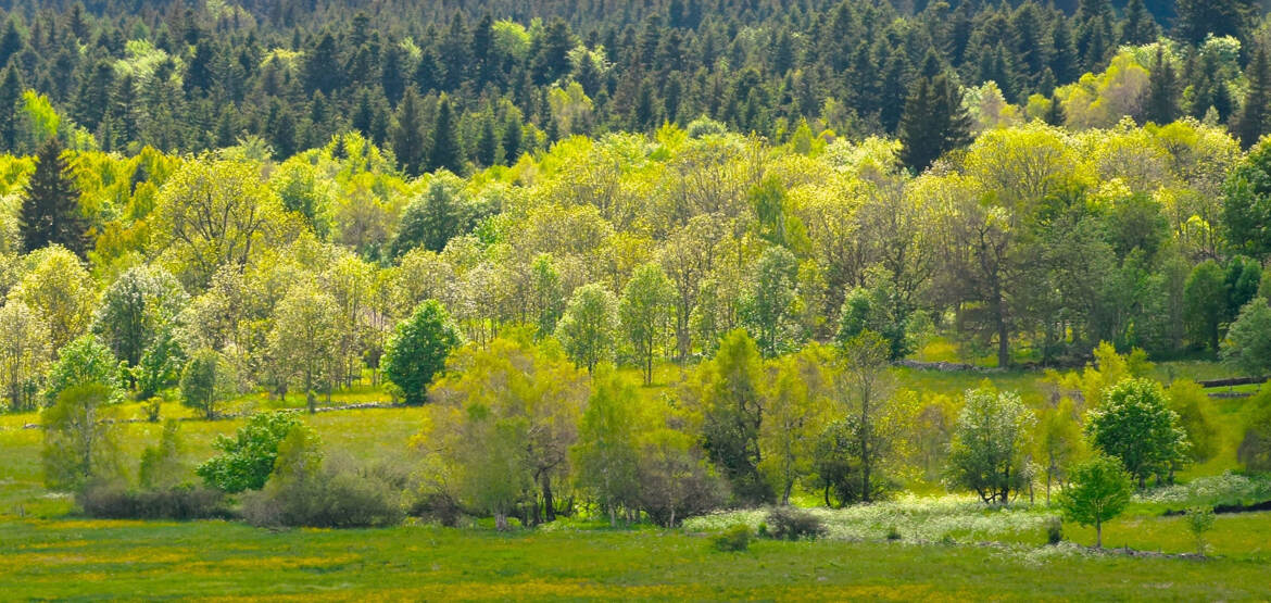 Série " Comme un tableau n°11 " Les Balayes