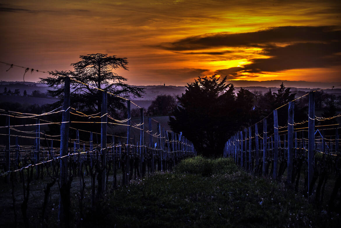 Fils d argent à l heure dorée ...