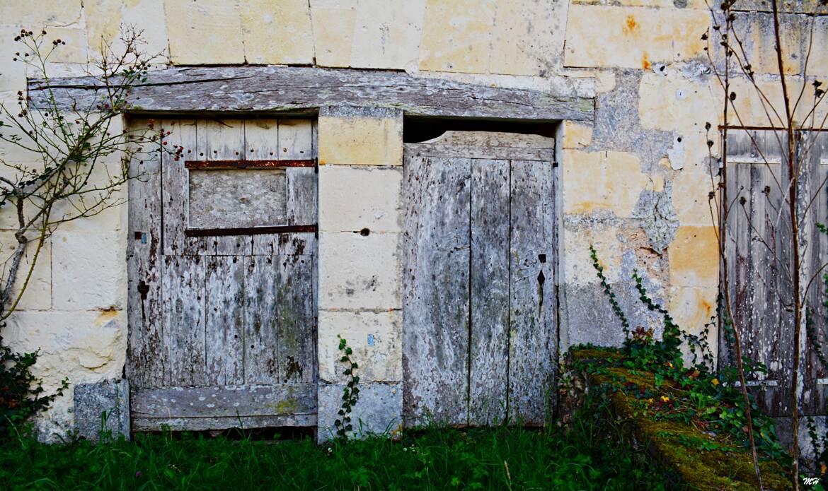 Portes de caves