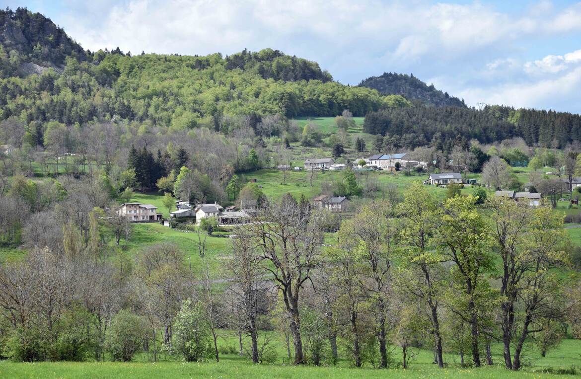 Araules