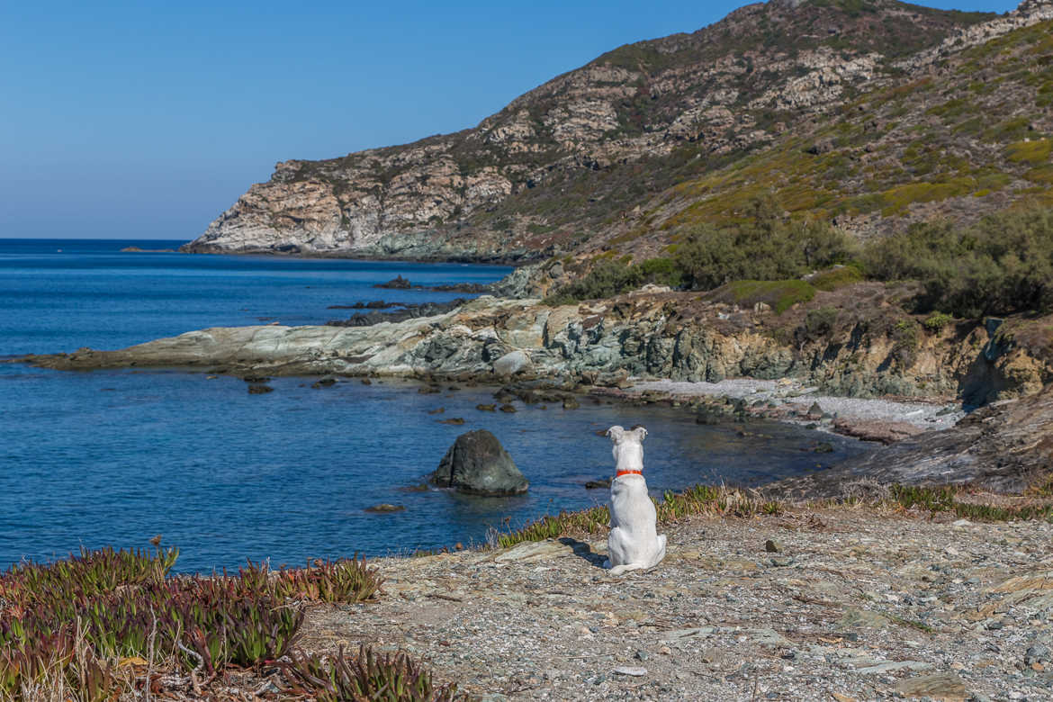 Que la Corse est belle!