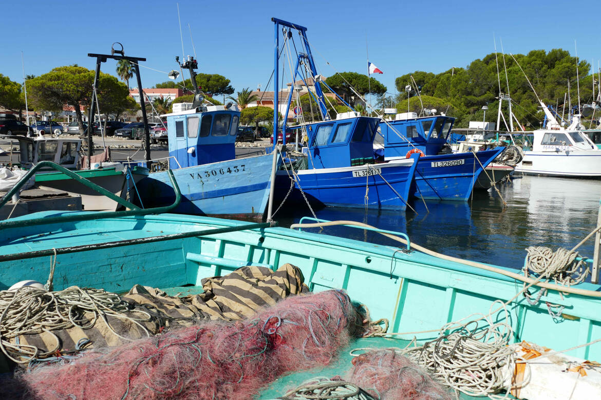 Port de pêche
