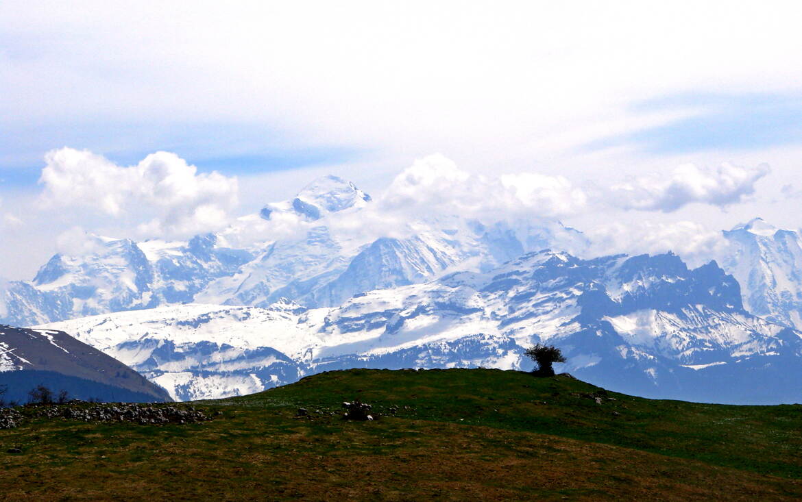 Correction sur L'arbuste solitaire