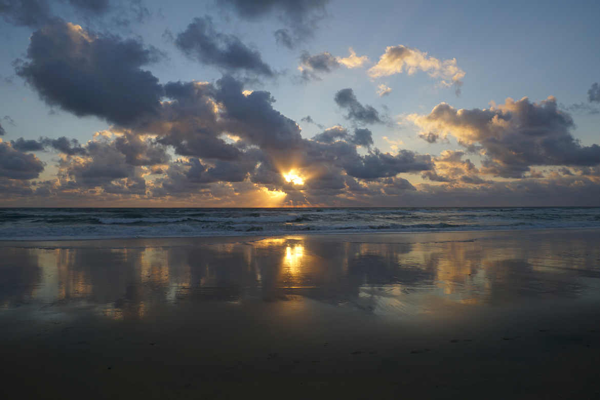 cap ferret