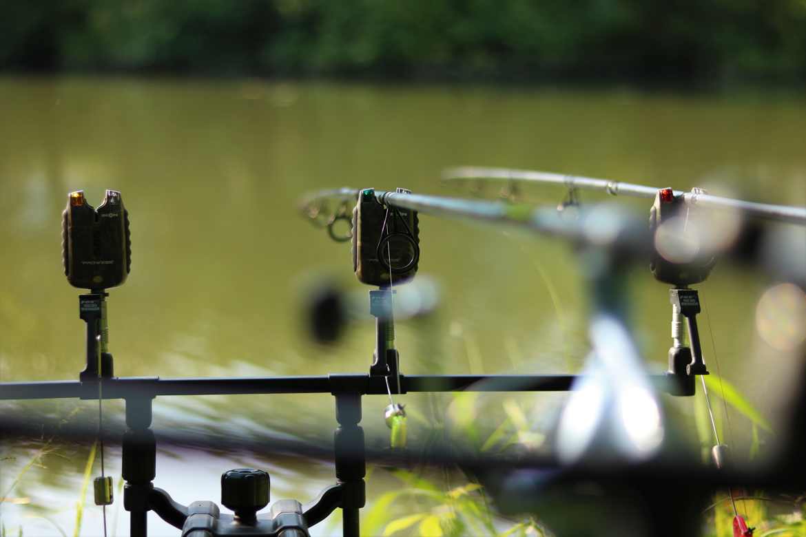 La pêche en mélodie