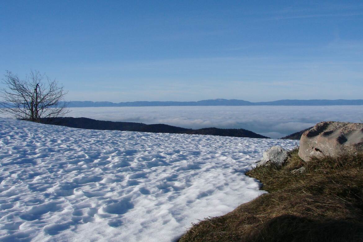 Tapis de neige, tapis de brouillard