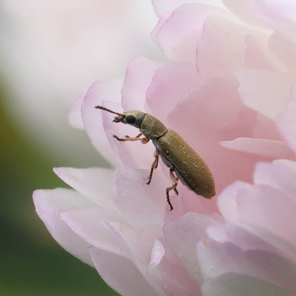 Allons voir ce qui se passe dehors...