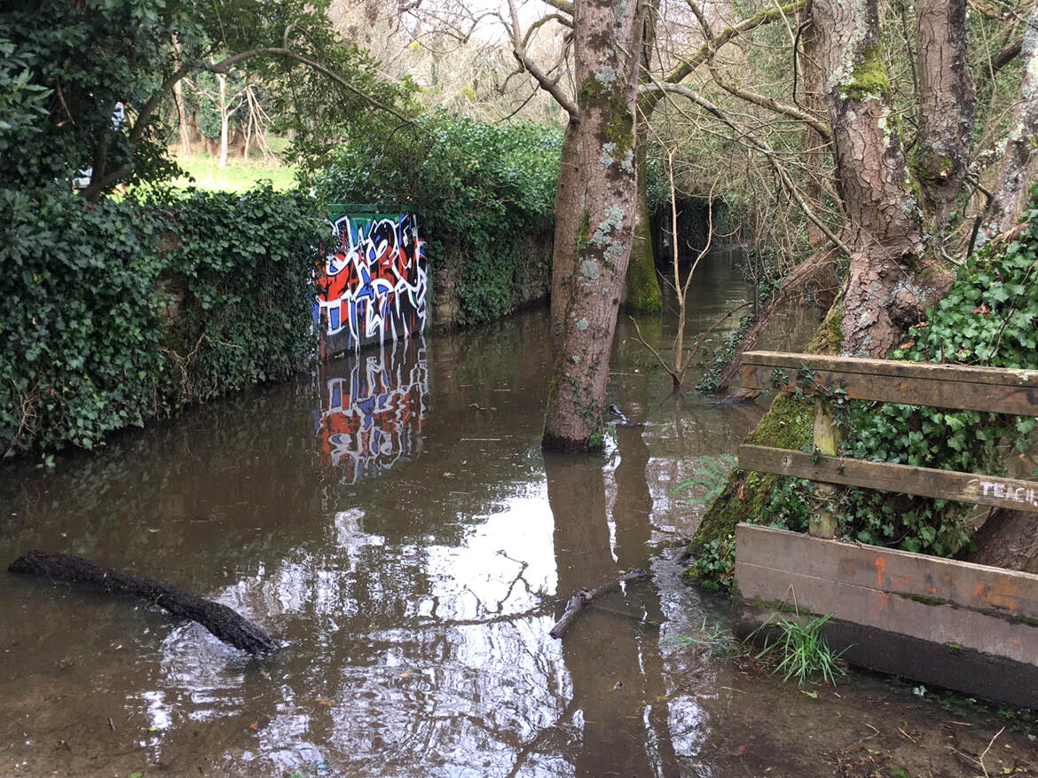 Les pieds dans l'eau
