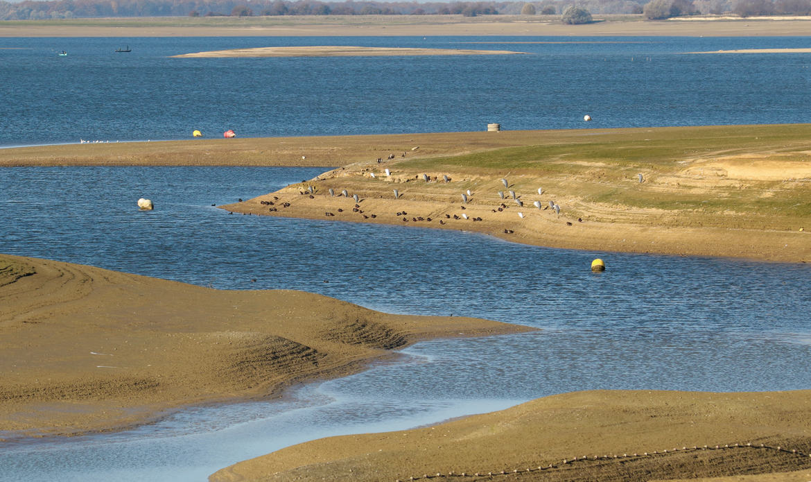 La baie de Montier en Dier