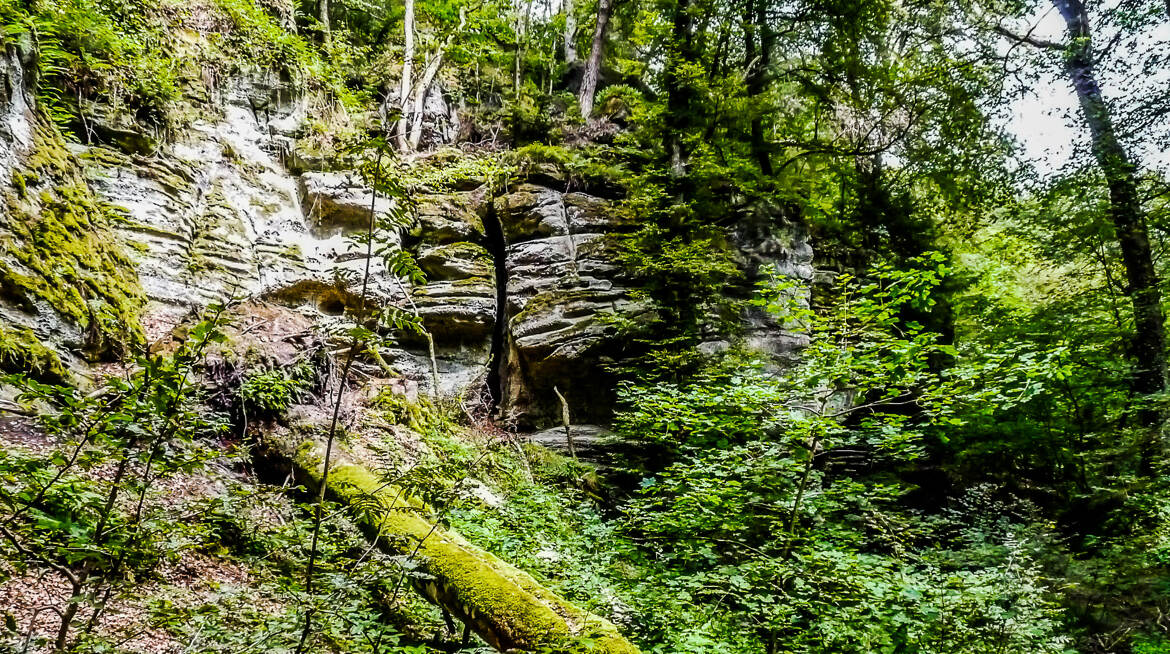 Une nature en équilibre ( fin de série )