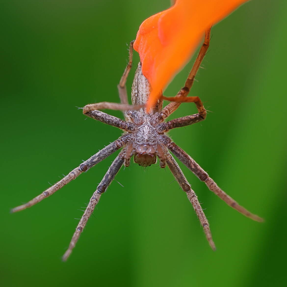 Un peu en retard sur Halloween...