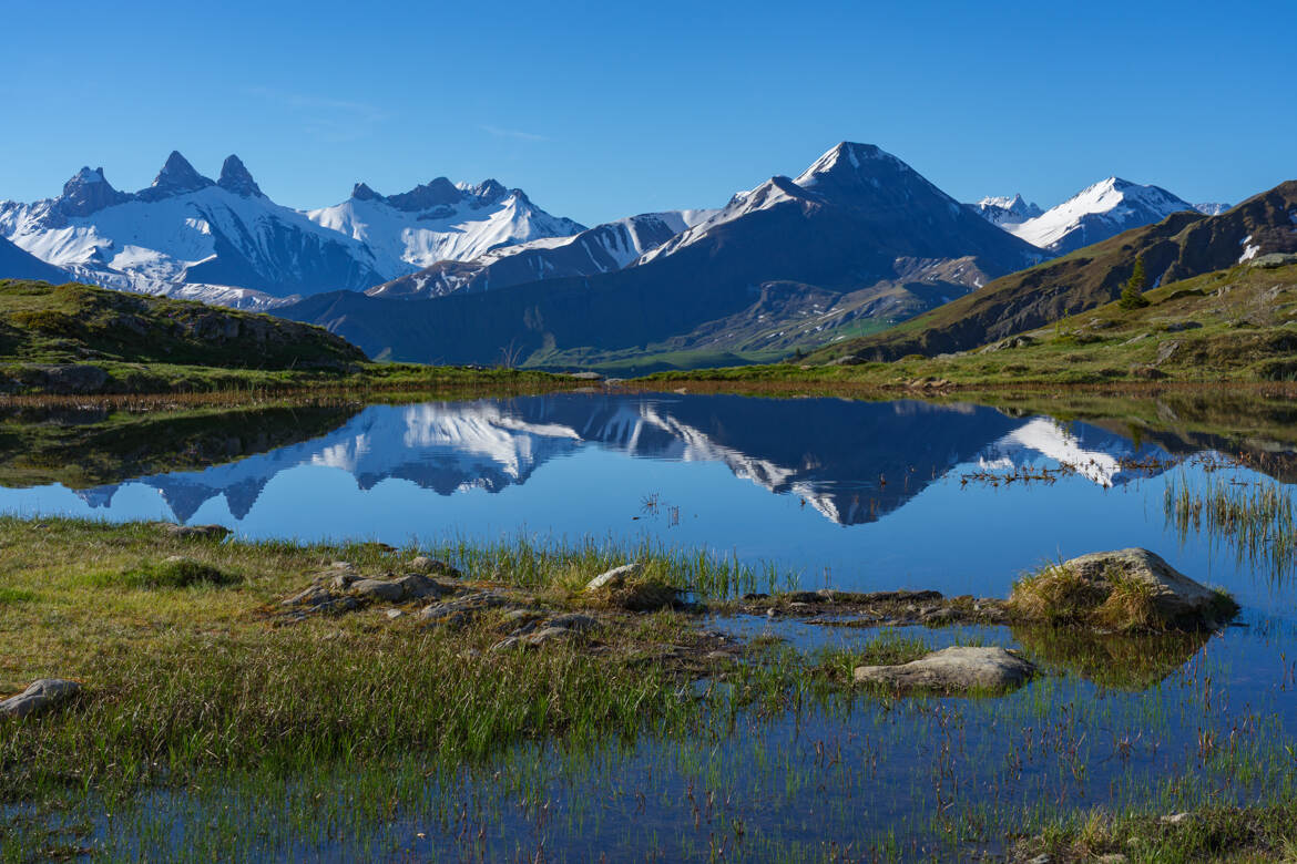 Toujours aussi belle !