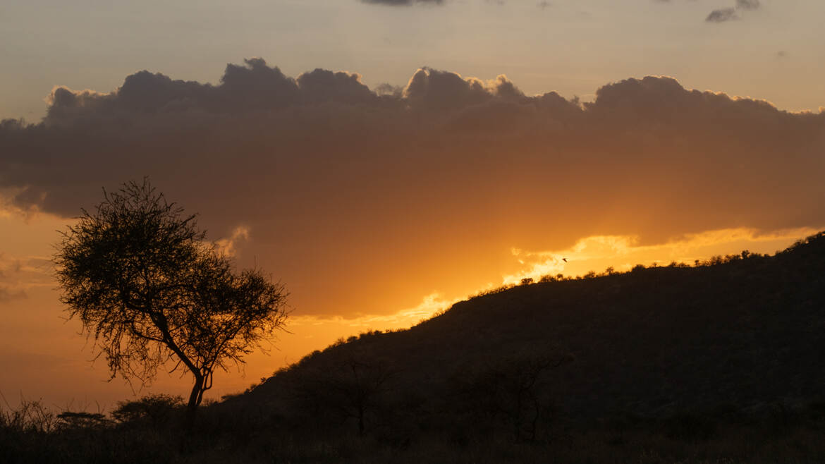 Fin de journée à Samburu