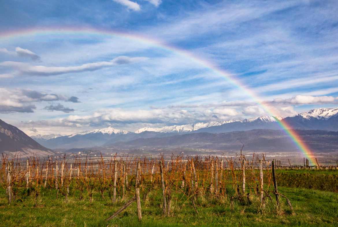 Arc en Ciel sur les vignes savoyardes