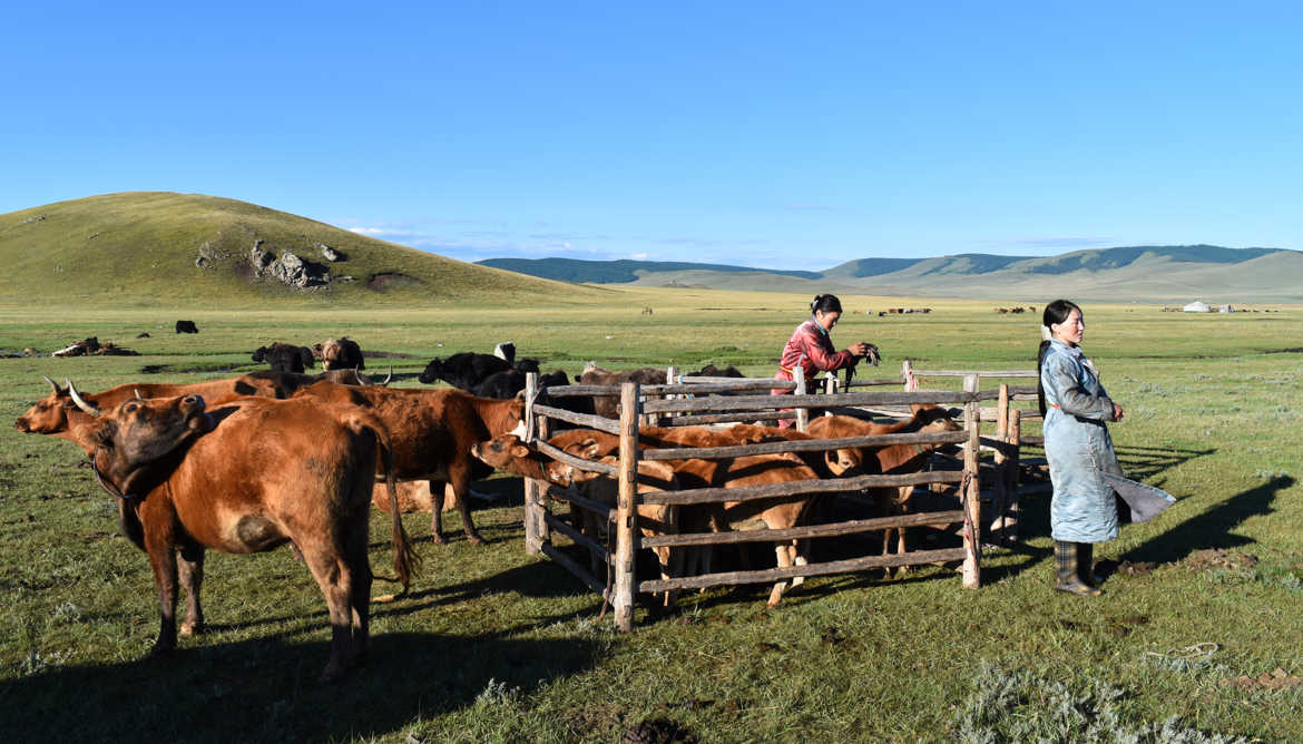 Nomadic people from Mongolia