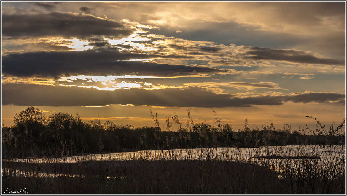 Levé de soleil sur le marais d'Orx (Landes)