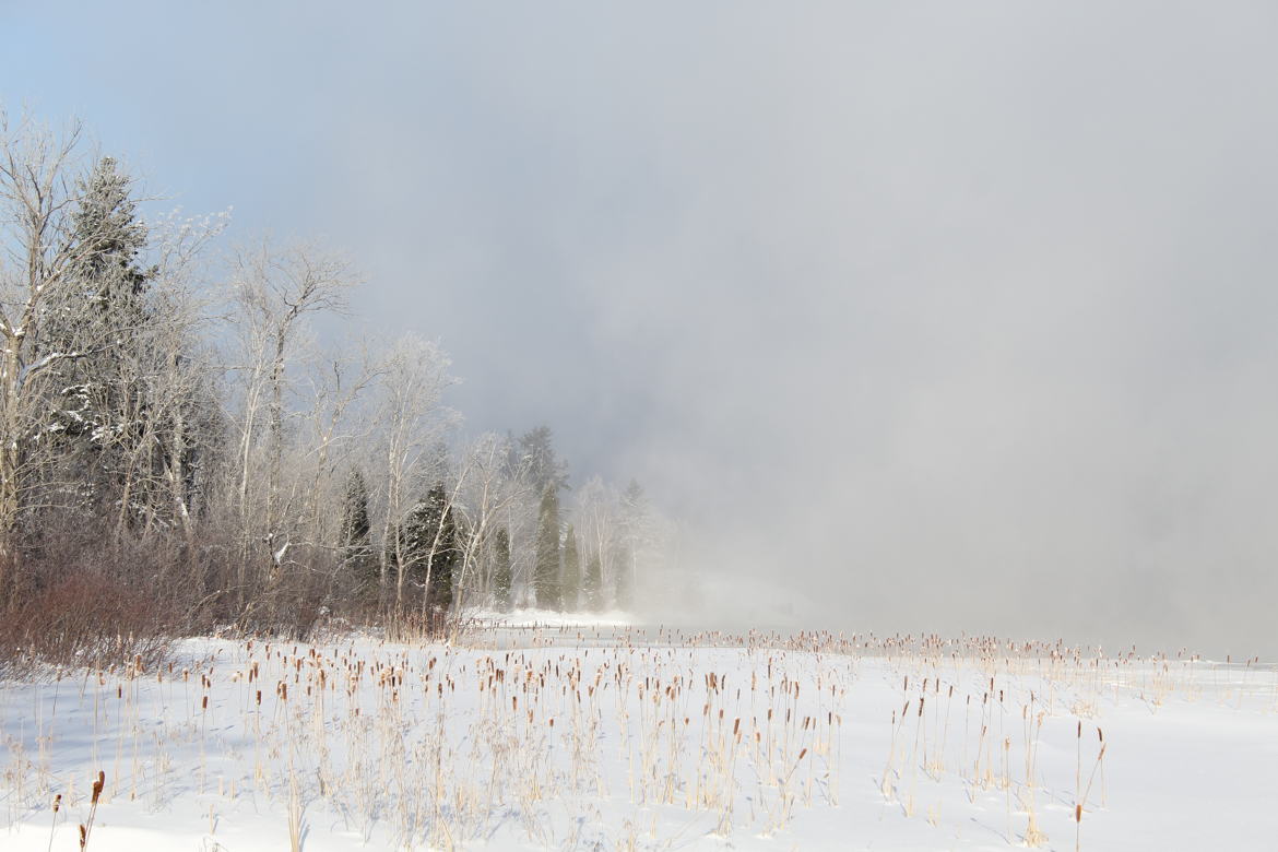 Brume hivernale