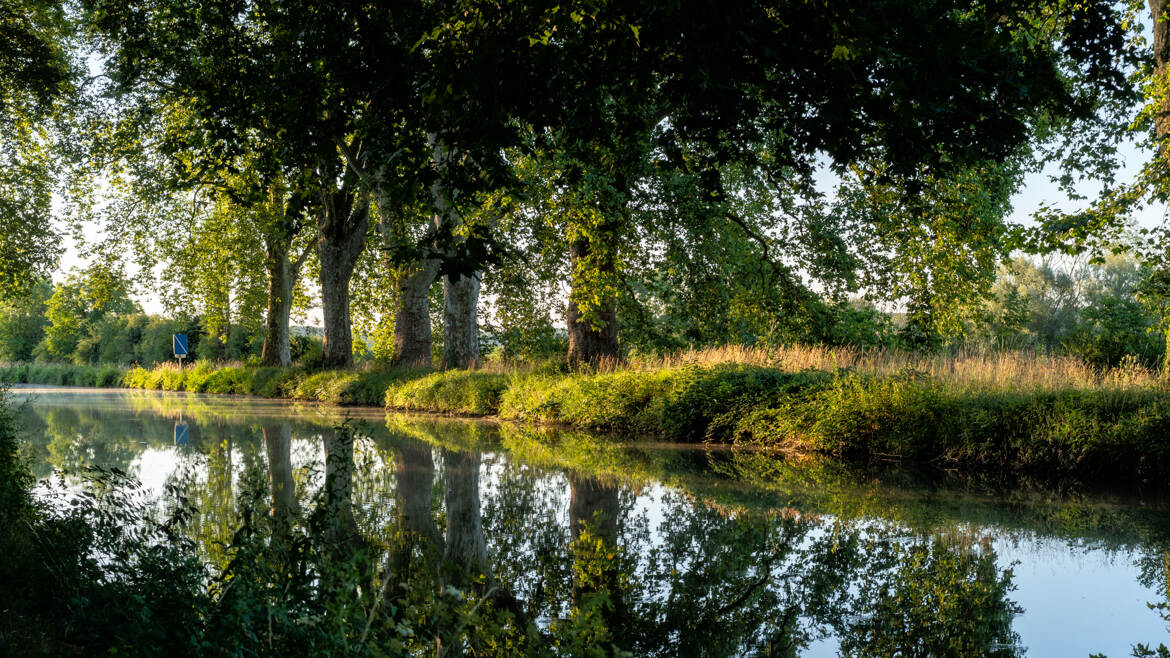 Canal du Rhone au Rhin 2