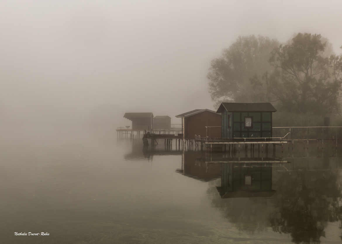 Brume matinale sur l'étang du Welschhof