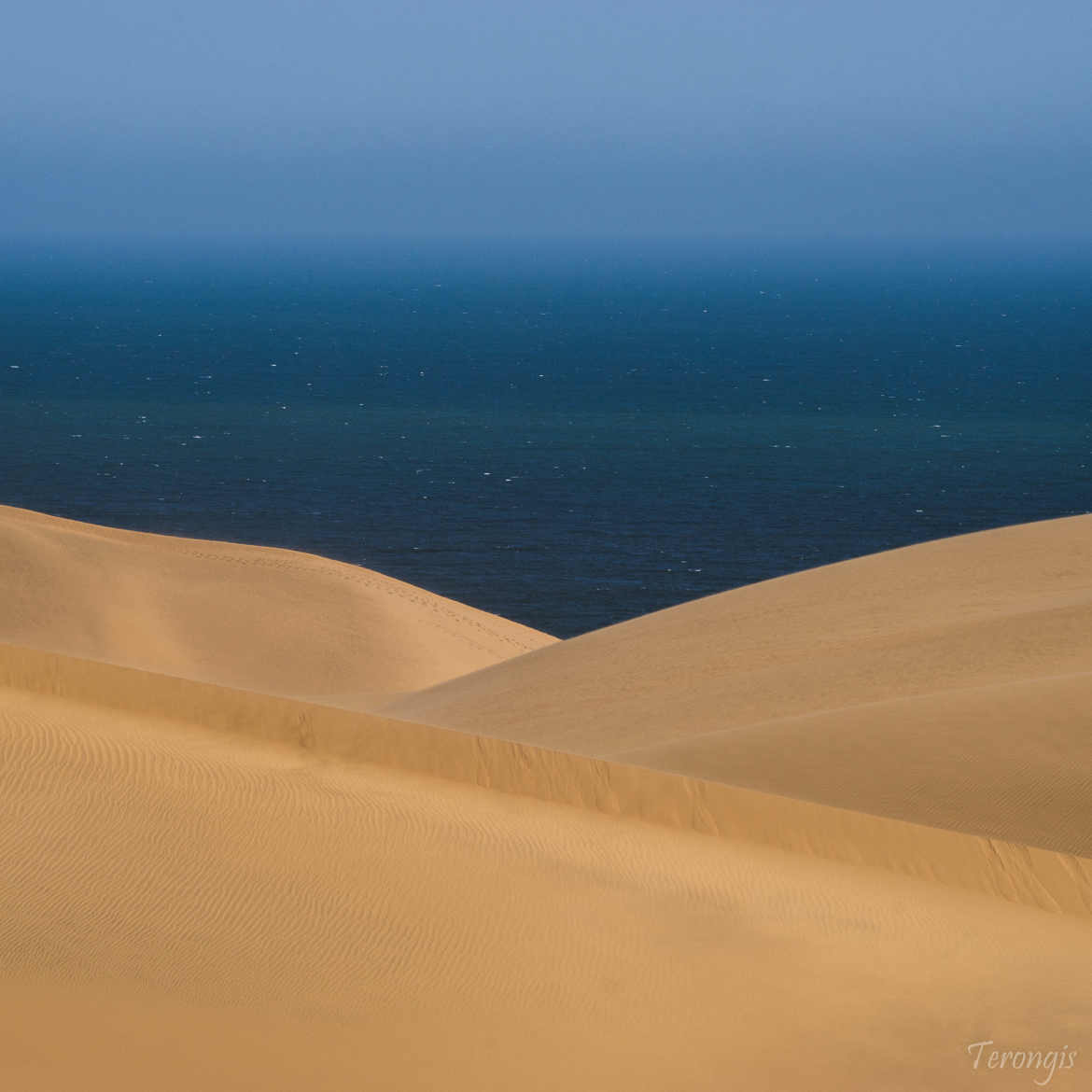 Dune