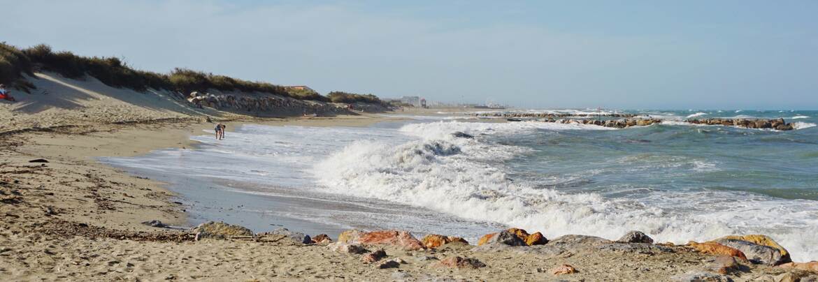 L'homme et la mer
