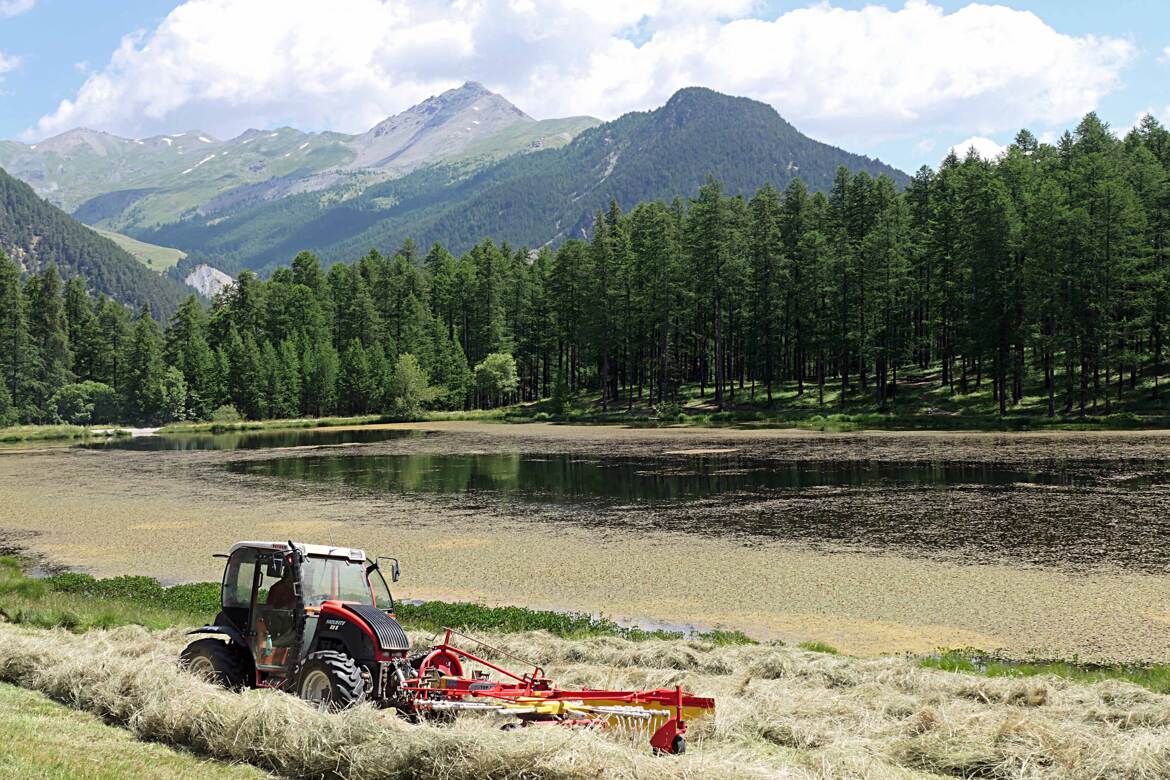 Agriculture de montagne
