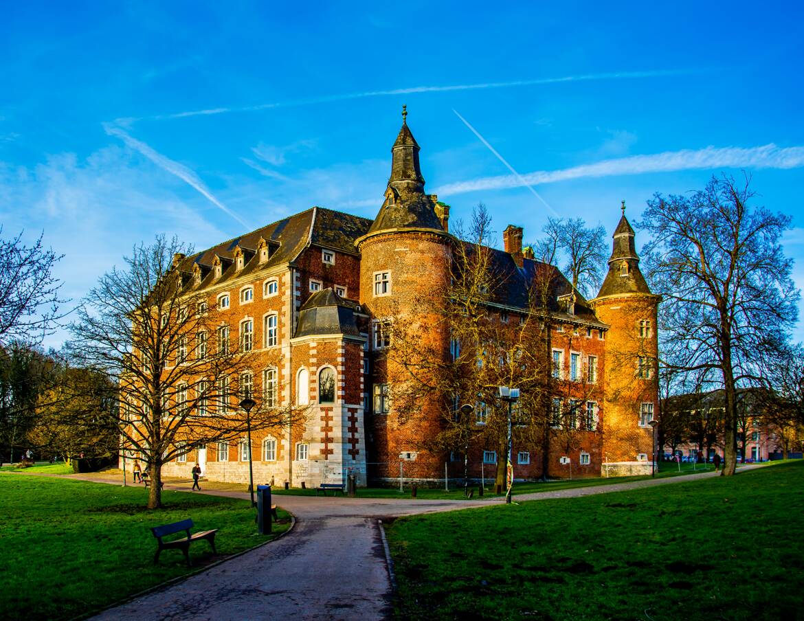 Le chateau et ses deux tours