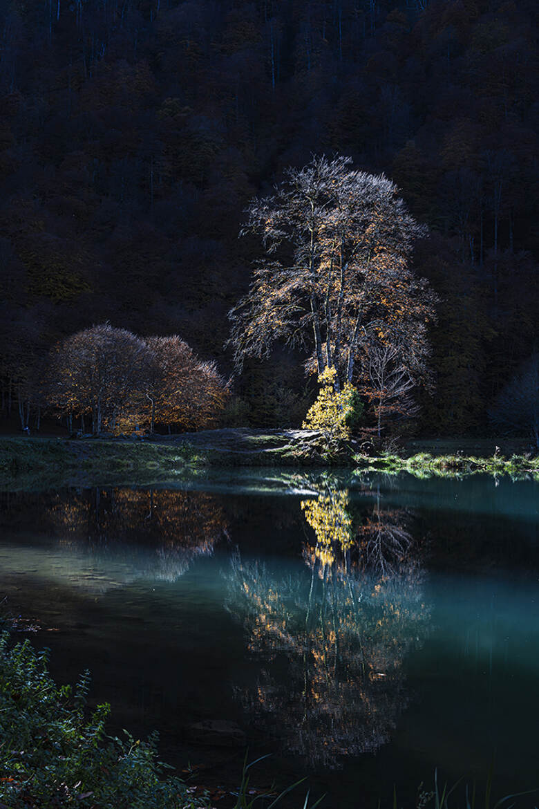 Magie de la lumière -