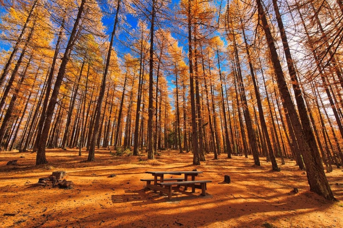 L'automne dans le Queyras