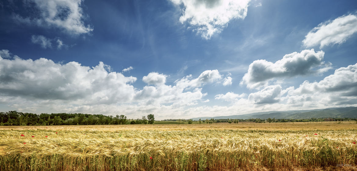 Campagne Lauragaise