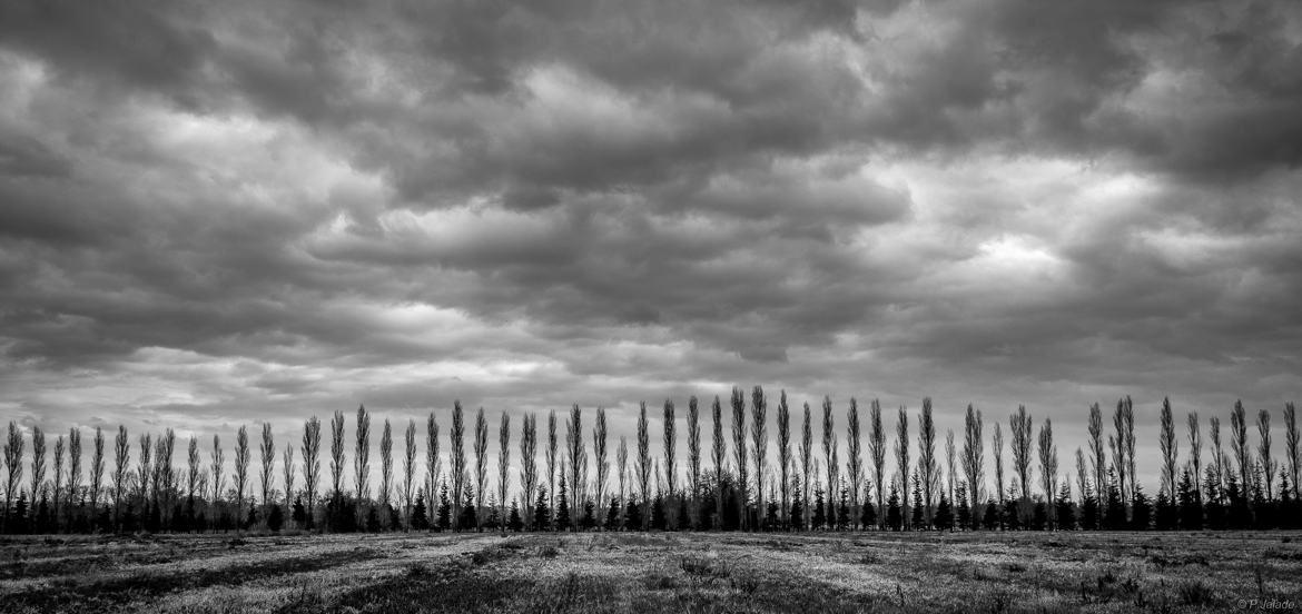 Peigne à nuages