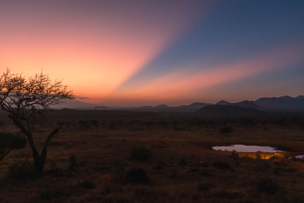 Un matin à Tsavo
