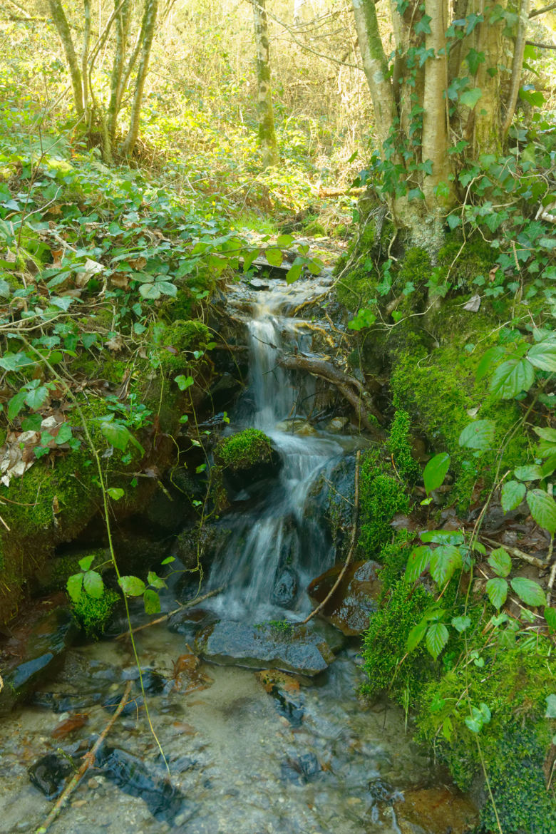 chute d'eau