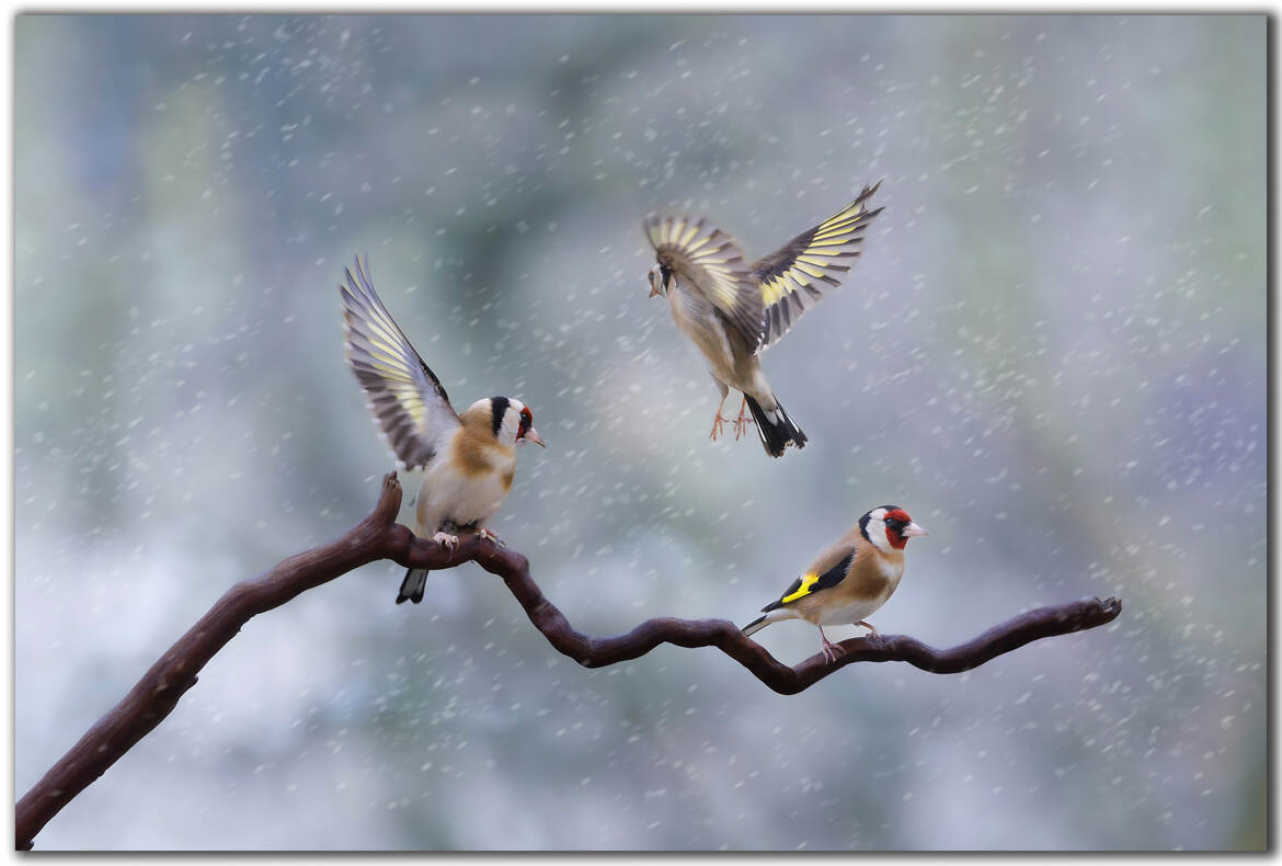 aie aie aie le temps