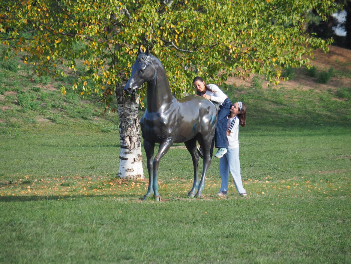 Début d'Equitation