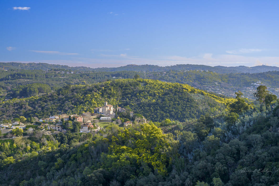 Le village du mimosa