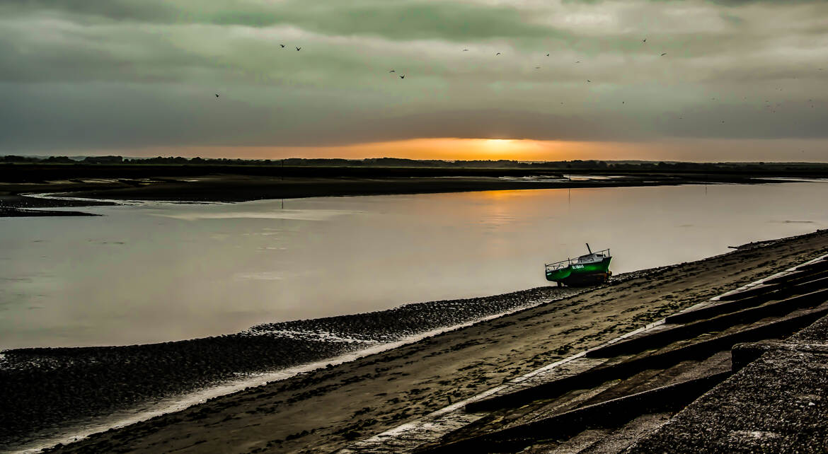Levé de soleil avec les oiseaux en Baie de Somme