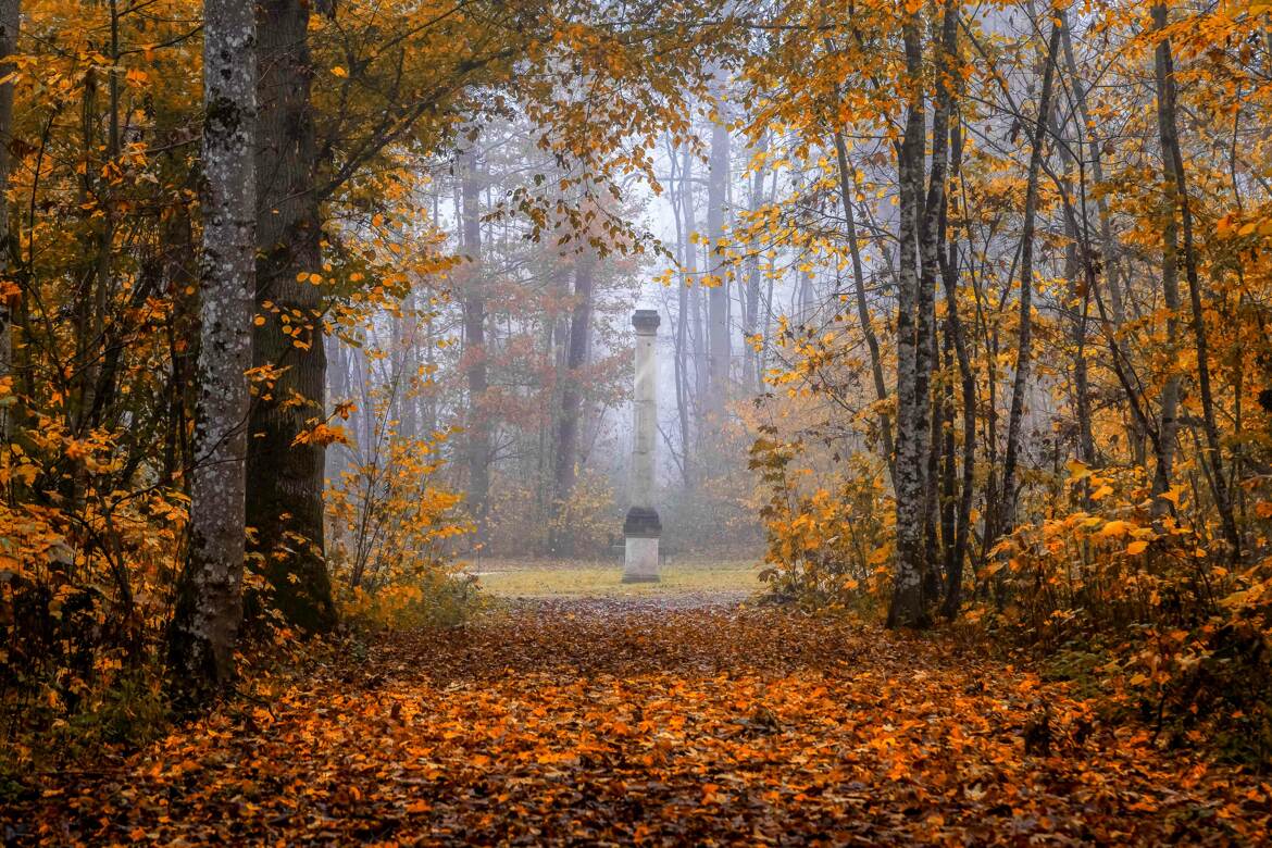 Colonne d'automne