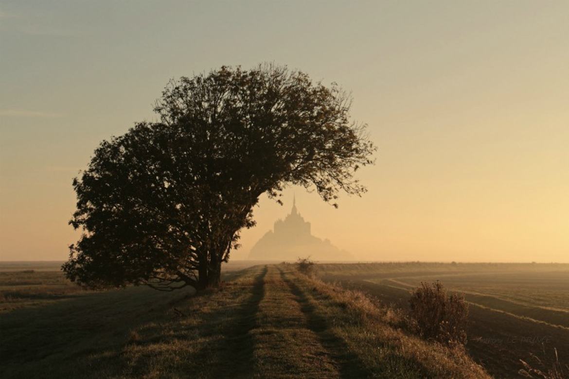 Mont-Saint-Michel vu des Polders