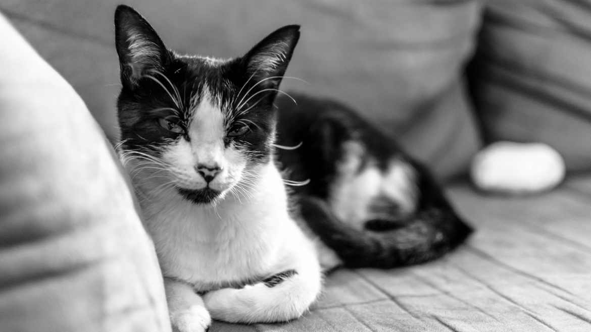Calme avant la tempête
