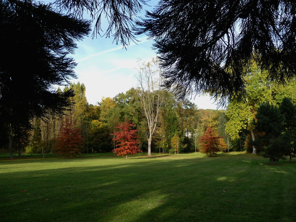 que le parc était beau en 2010