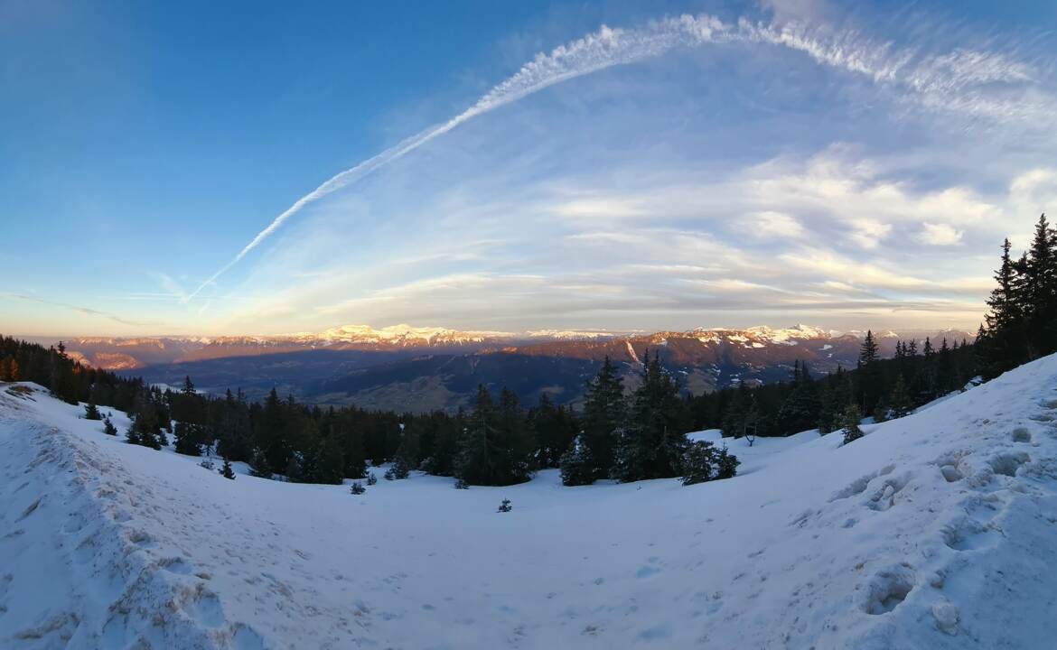 Panorama des Alpes