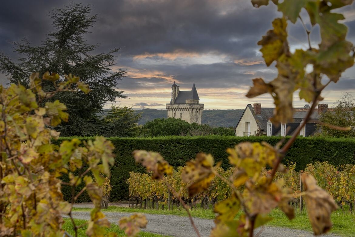 Automne à Chinon