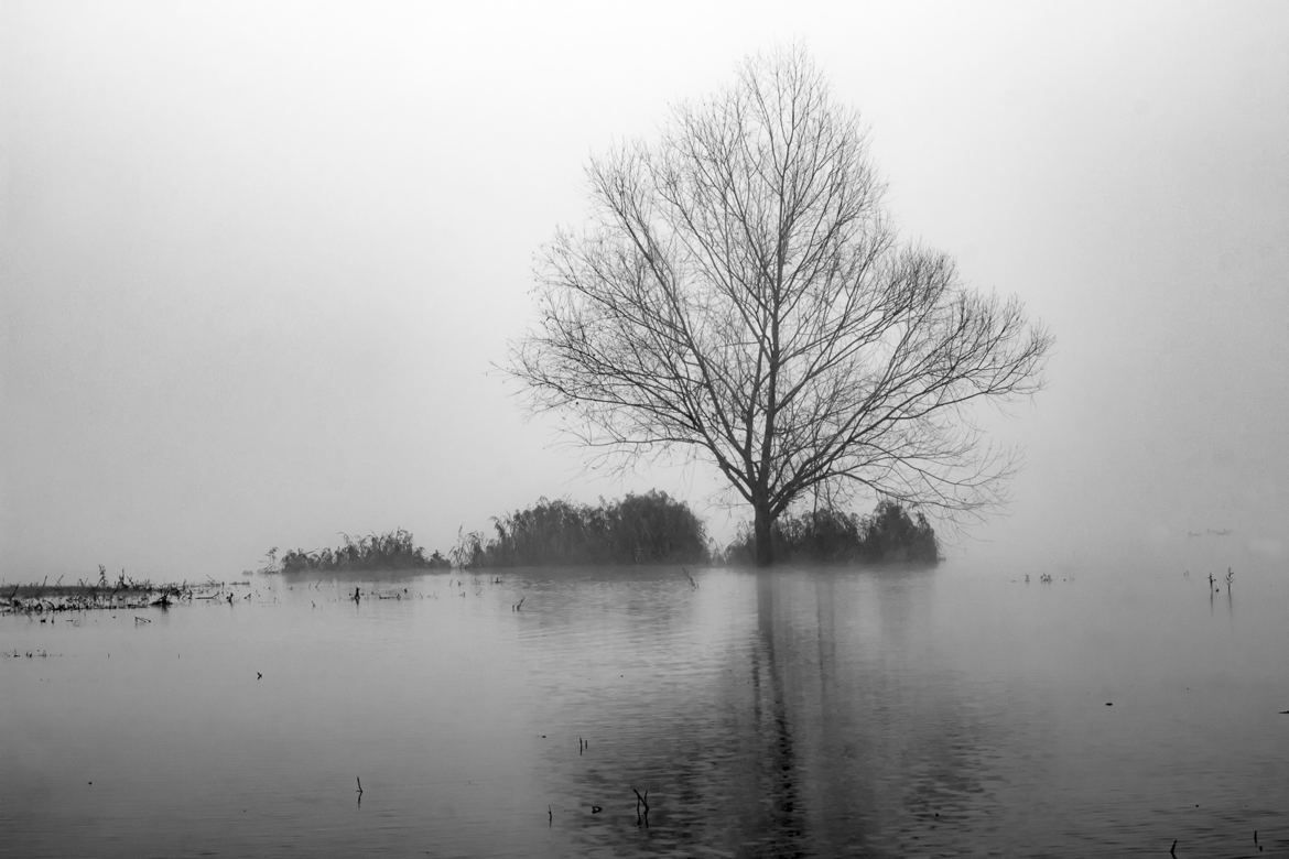 En val de Saône