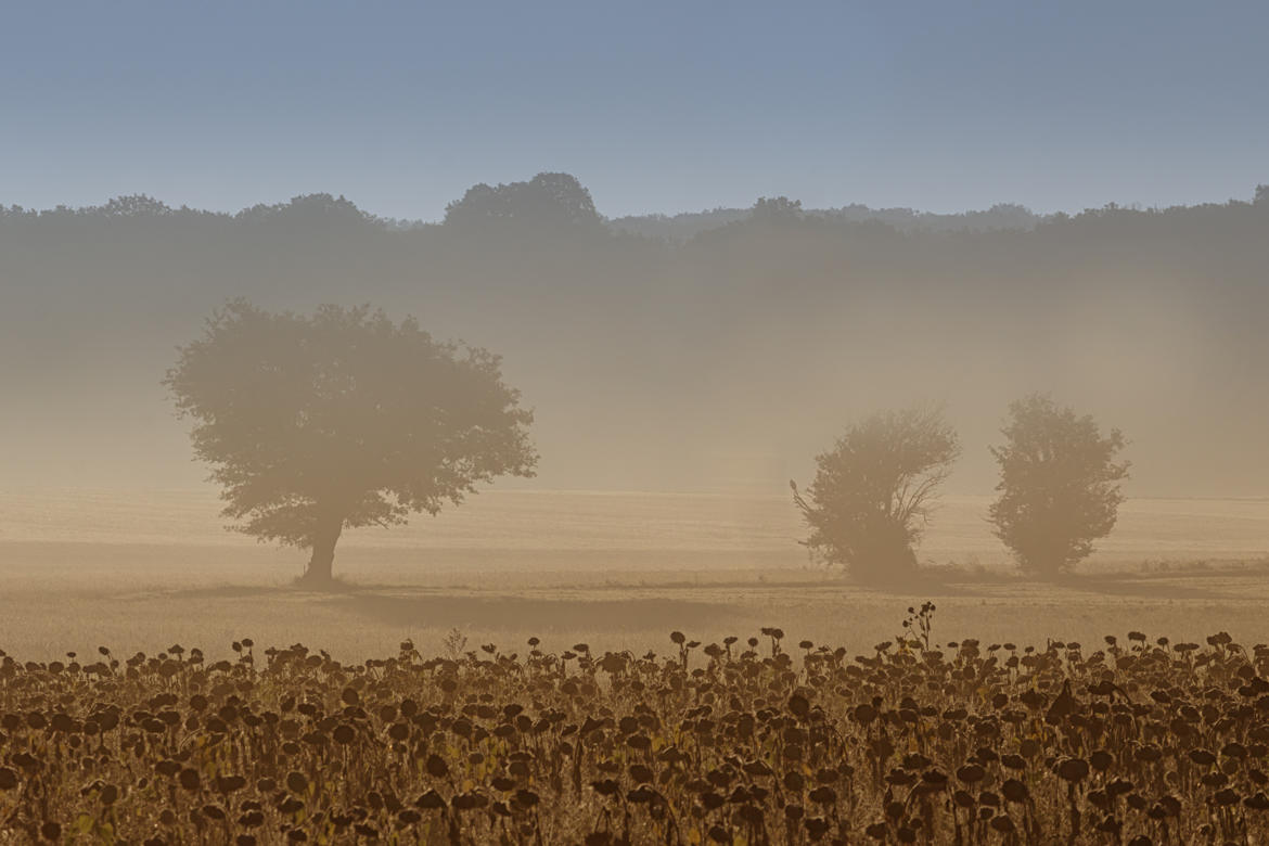 Matinée d'automne sur la campagne