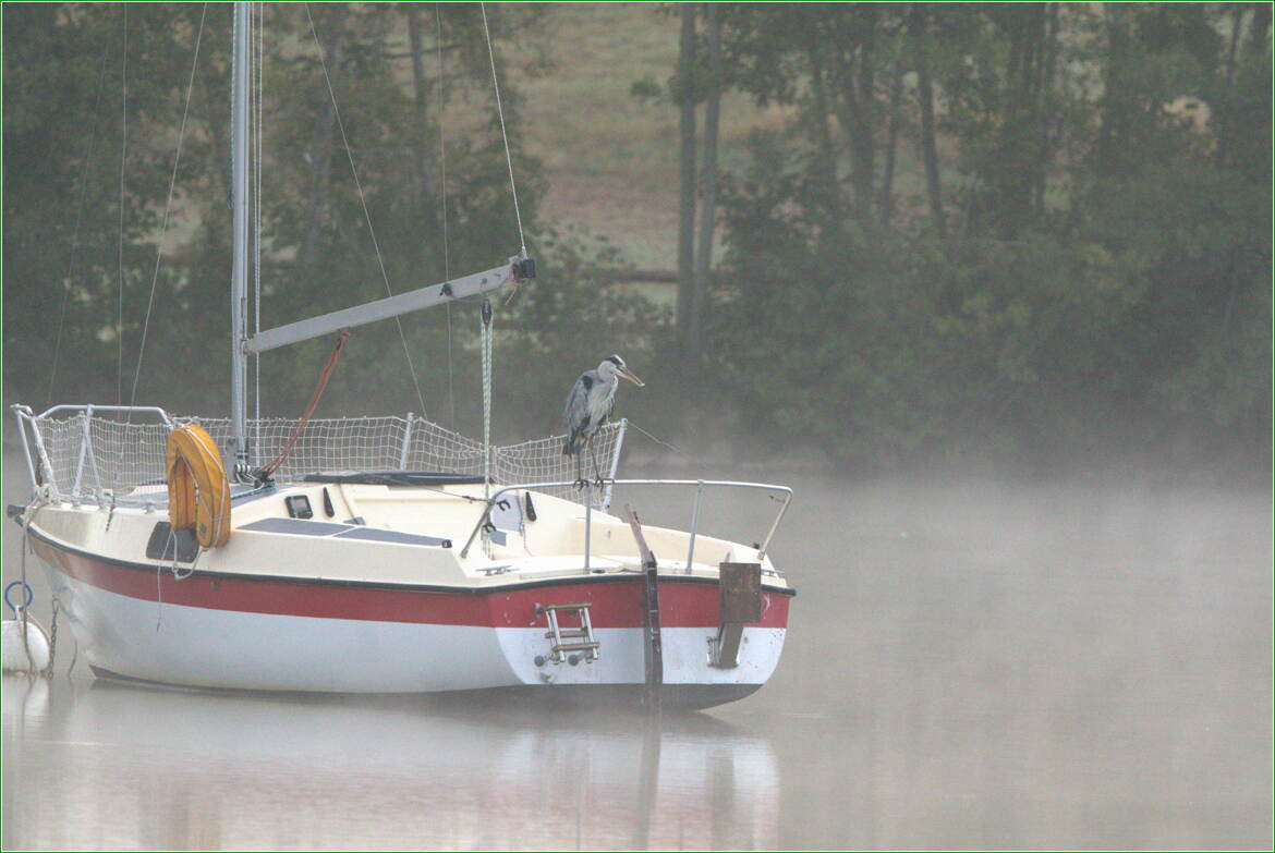 seul maitre à bord ...