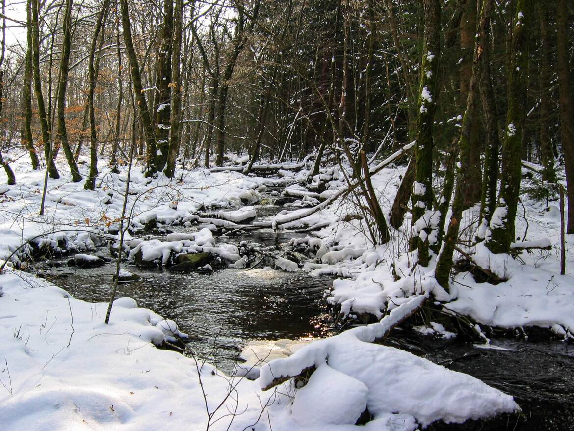 Archives éduennes : ruisseau enneigé